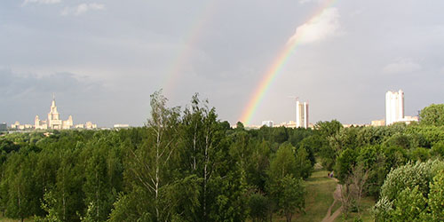 На полу зелёная травка лужи снег